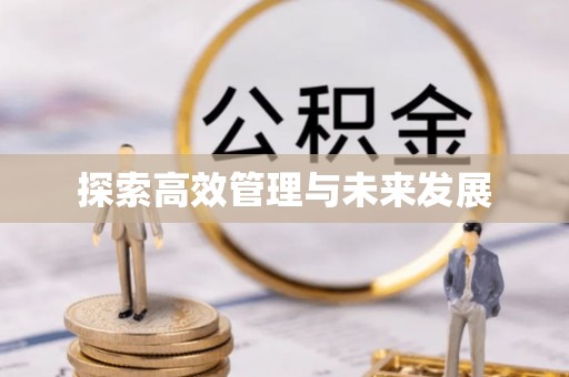 合浦探索高效管理与未来发展