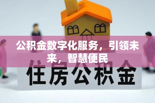 仑背公积金数字化服务，引领未来，智慧便民