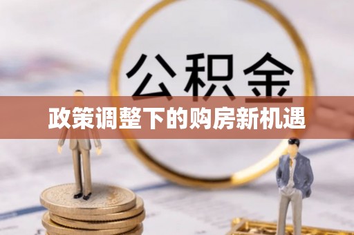 大湖政策调整下的购房新机遇