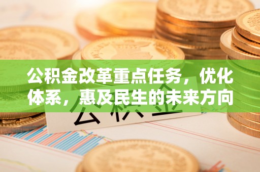 洛隆公积金改革重点任务，优化体系，惠及民生的未来方向