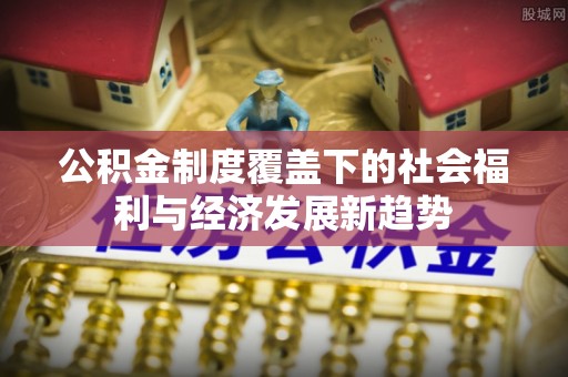 丁青公积金制度覆盖下的社会福利与经济发展新趋势