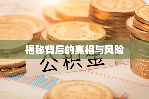 临城揭秘背后的真相与风险