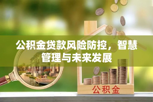 韩城公积金贷款风险防控，智慧管理与未来发展