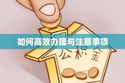 爱辉如何高效办理与注意事项