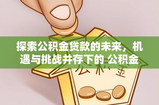 上街探索公积金贷款的未来，机遇与挑战并存下的 公积金贷款风险防控