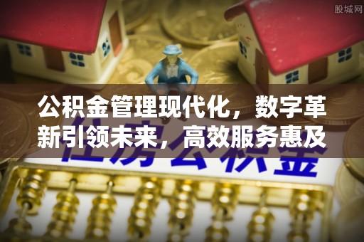 栾川公积金管理现代化，数字革新引领未来，高效服务惠及民生