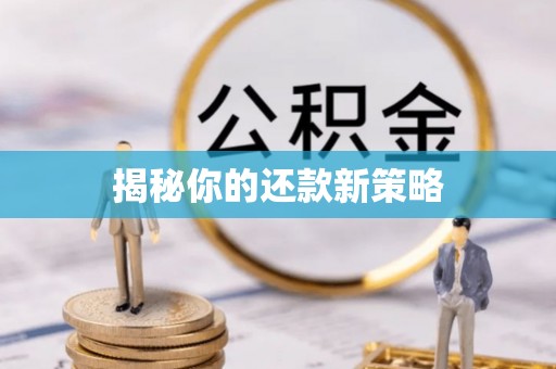 峨眉山揭秘你的还款新策略