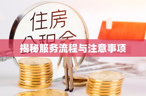 罗平揭秘服务流程与注意事项
