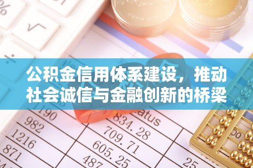 东昌府公积金信用体系建设，推动社会诚信与金融创新的桥梁