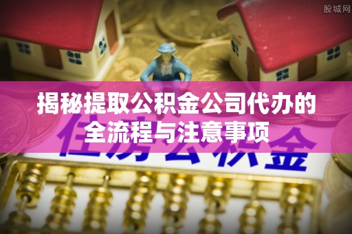 高树揭秘提取公积金公司代办的全流程与注意事项