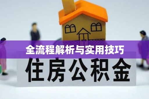 肇源全流程解析与实用技巧