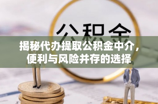 武功揭秘代办提取公积金中介，便利与风险并存的选择