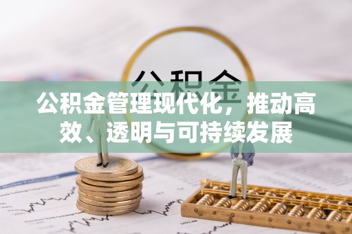 洞口公积金管理现代化，推动高效、透明与可持续发展