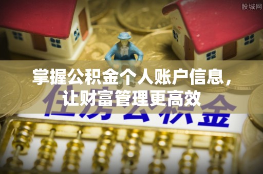 泸县掌握公积金个人账户信息，让财富管理更高效