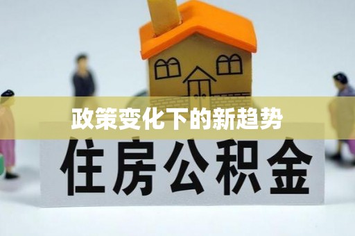 施甸政策变化下的新趋势