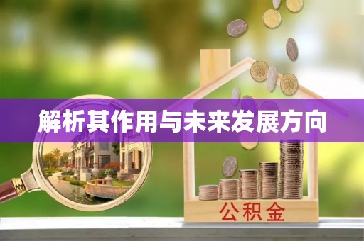 桦南解析其作用与未来发展方向