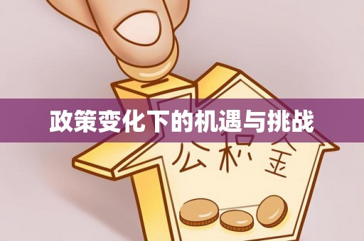恒山政策变化下的机遇与挑战