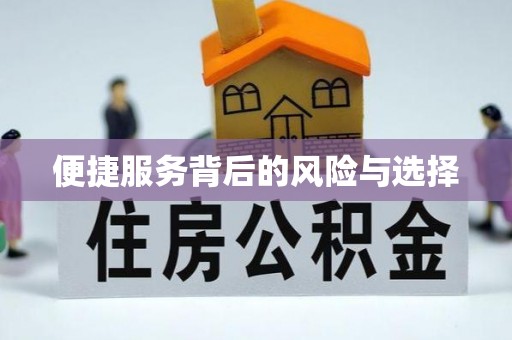 勉县便捷服务背后的风险与选择