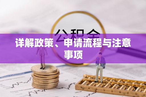 便捷详解政策、申请流程与注意事项