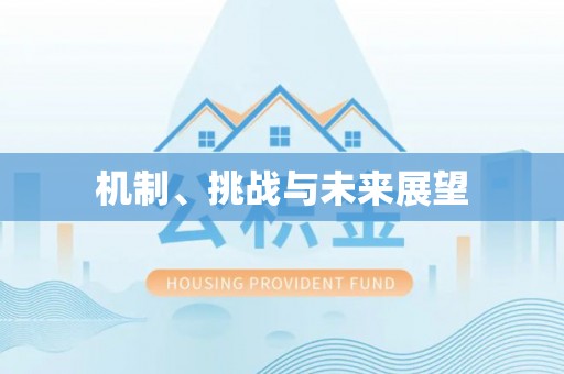 常平机制、挑战与未来展望