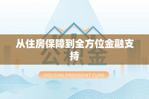 衡南从住房保障到全方位金融支持
