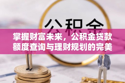 连南掌握财富未来，公积金贷款额度查询与理财规划的完美结合