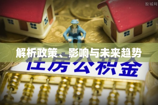 临武解析政策、影响与未来趋势