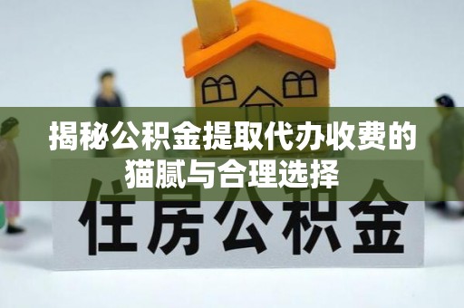 邓州揭秘公积金提取代办收费的猫腻与合理选择