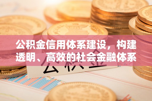 青浦公积金信用体系建设，构建透明、高效的社会金融体系