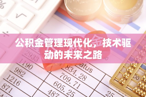 金口河公积金管理现代化，技术驱动的未来之路